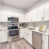 Value White Shaker 1